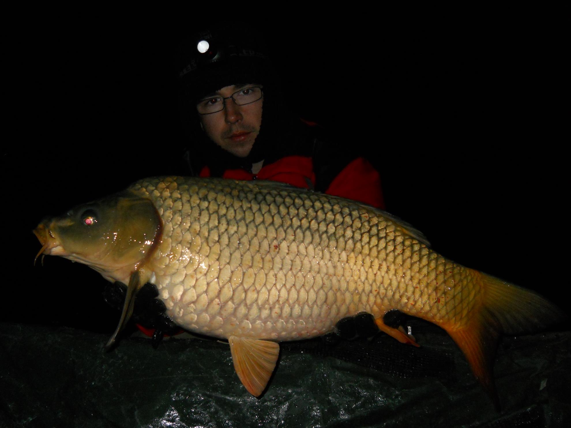 Martie 2013 - Harsany - Martie 2013